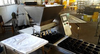 Μηχανήματα βιομηχανίας τροφίμων εξοπλισμού γραμμών παραγωγής κέικ πλήρωσης σοκολάτας